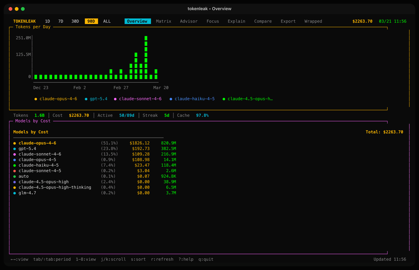 tokenleak TUI overview view